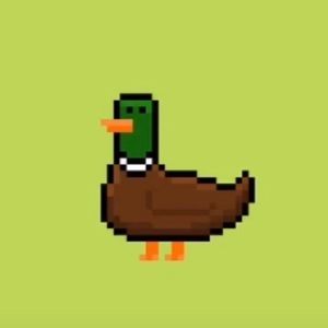 Meet your Posher, Mackenzie